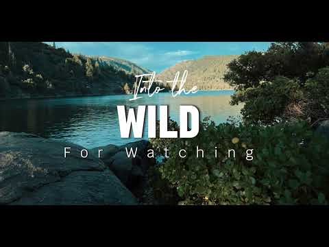 Into the Wild – The California Adventure That Changes You