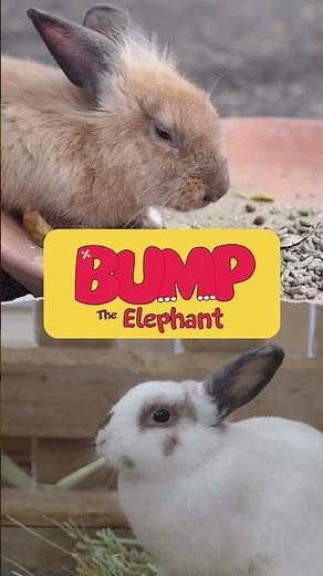 Bump the Elephant 🐘 Big Bun and Little Bun #rabbits 🐇 #vintagetv #90skids #bbc #elephant