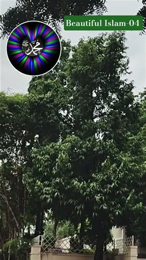 Surah Yusuf ❣️#suratarrahman #youtubeshorts #nature #motivation #trending #viralreal