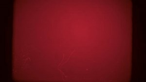 4k Film Clutter Old Film Texture Stock Footage Video (100% Royalty-free) 1111164493 | Shutterstock