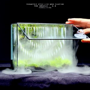 858K views · 961 reactions | Two years of material research &...