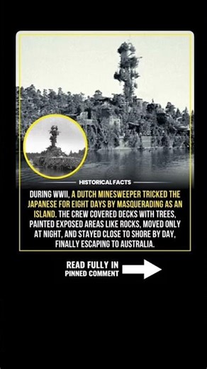 In 1942, a Dutch Ship Disguised Itself as a Jungle Island