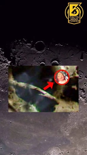 1.5M views · 32K reactions | क्या आप जानते हो यह एक Humanoid alien है...