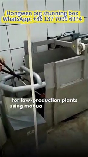 Efficient Pig Stunning Box Restrainer Machine | Hog Abattoir Equipment by Nanjing Hongwen