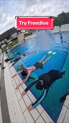 DiveWithHan on TikTok