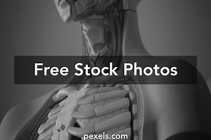 Skeleton Wallpaper Photos, Download The BEST Free Skeleton Wallpaper Stock Photos & HD Images