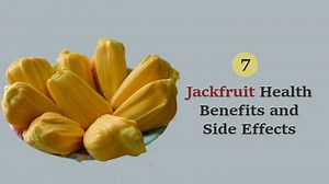 7 Amazing Jackfruit Health Benefits and Side Effects