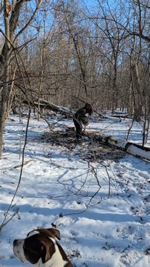 the Wood Splitter 5000 outworks the Camera! Shorts