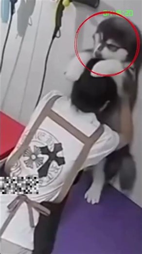 URGENT! Woman arrested for doing this to dogs
