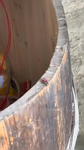 Laser mosquitoes shooter 😑 erlich TV vlog #followersreels #fbreelsfyp @highlight | Erlich Cadayday