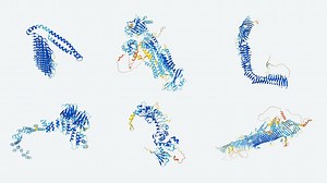 AI   Biology: DeepMind releases massive protein structure database