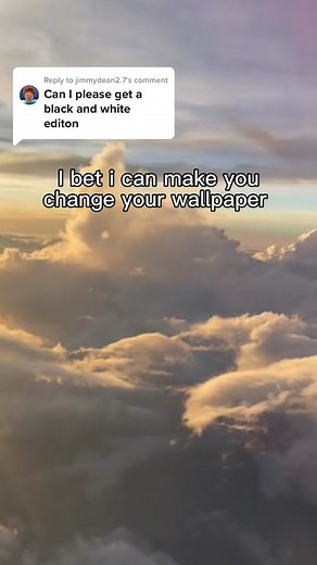 Wallpapers ceo on TikTok