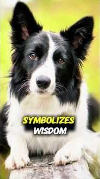 Which Lucky Dog Matches Your Birth Month? Part 4