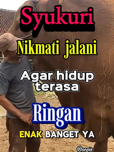 Sapi Bima Sakti: Panduan Peternakan Milenial