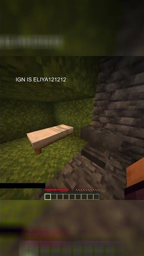 Funniest Reactions on Donut SMP 😂