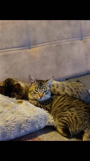 Navii ♡ on Instagram