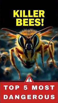 Top 5 Most Dangerous Bees in the World 🐝 (You Won’t Believe #1!)
