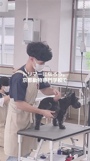 トリマーになろう。京都動物専門学校は、まじめに学べる少人数制・安心の低学費・接客も学べる校内ペットサロン。さらに、動物の幸せを願う「校内飼育０」宣言。命を預かる責任感と高い技術を身につけよう！
