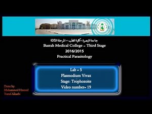 19- Practical Parasitology - Plasmodium Vivax - Trophozoite Stage