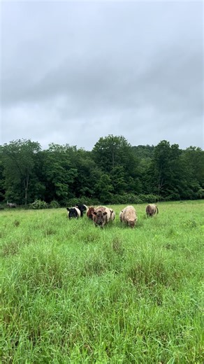 Mmmm environmental science is full of joy actually