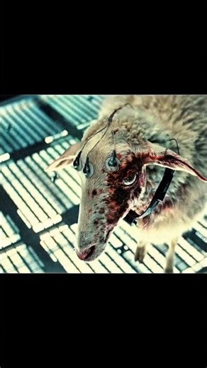 ✨ Alien Earth – When the Creature Takes Control 👁️🛸 | #Short #viral #horror