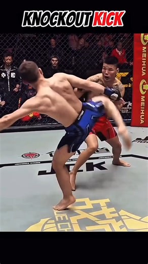 Fight Screen Knockouts 🎮🔥 | Self Defence, Push Kick & KO Combo 🥊