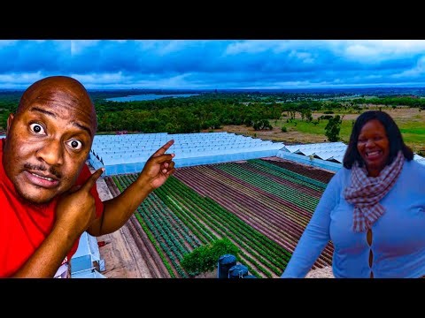 She is 32, This Is How She Left her Supermarket Job To Making Millions Deep in Rural Zim