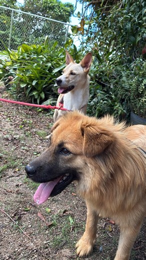 1.3K views · 56 reactions | We're celebrating the final night of Bad...