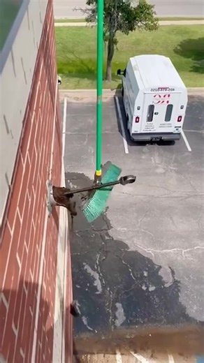 Odd but Satisfying Drain Unclogging #satisfying #dredge #asmr #relax #foryou #oddlysatisfying