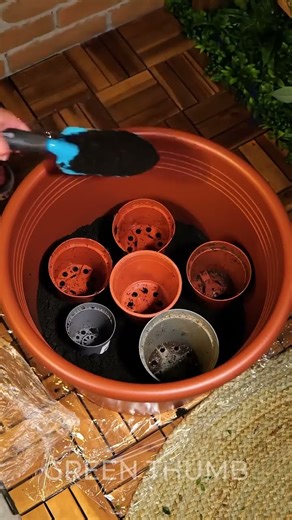 DIY Apartment Herb Garden: Maximize Your Tiny Space! 🧑‍🌾🌱