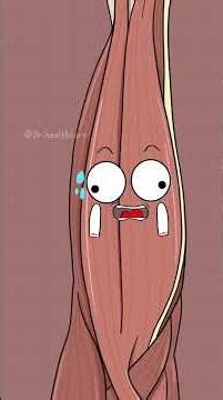 Muscle pain after Gym _ Explained #animation