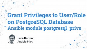 Grant Privileges to User/Role on PostgreSQL Database-Ansible module postgresqlprivs