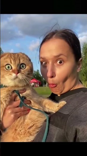 This is such a classic cat move.