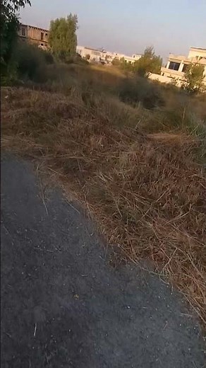 "Unlock the Secrets of Breathtaking Gardens: Top 10 Horticulture Tips You NEED to Know!"