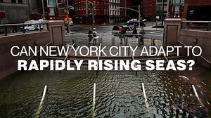 Can New York City adapt to rapidly rising sea levels?