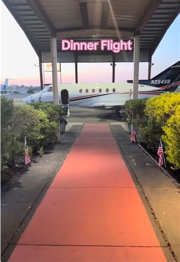 casual dinner flight #dayinmylife #aviation #passengerprincess #fyp #onthisday