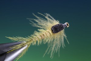 Burrowing Mayfly Nymph