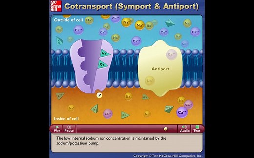 Contransport（symport and antiport）-协同运输（同向转运和反向转运）