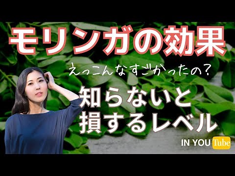 モリンガの効果｜知らないと損レベルの半端ない植物についてオーガニック専門家松浦愛が語ります。