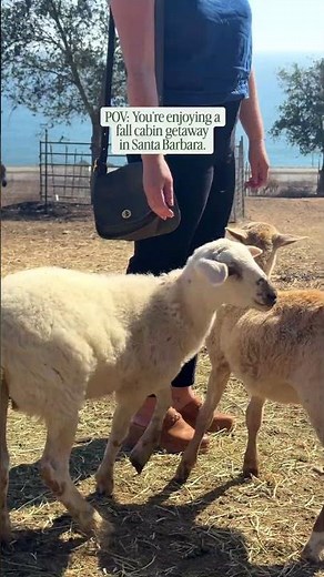 Enjoy a Cozy Cabin Stay at El Capitan Canyon in Santa Barbara