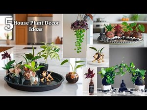 5 House Plant Decor Ideas That Instantly Make Your Home Look Expensive | Plants Ideas//GREEN PLANTS