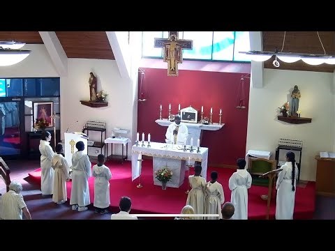 Feast of Christ the king - 23 November 2025