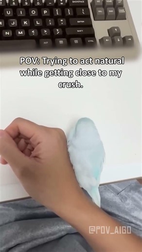 So I'm backing up backing up~~ #meme #bird #pov #cute #animal #fyp
