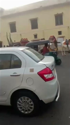 Rasthan.... shorts video ♥️♥️