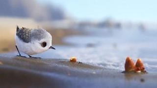 “Piper”, il nuovo bellissimo corto Pixar per sconfiggere le paure