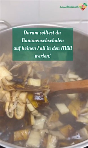 Bananenschalen als Dünger nutzen