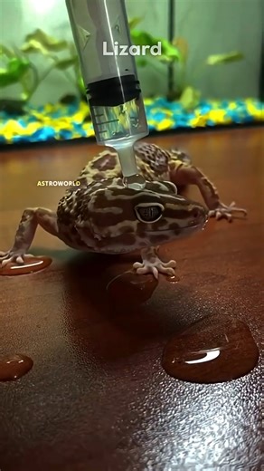 How does hydrophobic work? #science #sciencefacts #facts #factsinhindi