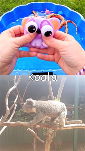 Kids Learn | Animal Names with Toys: Koala Camel Dog Hyena Lion