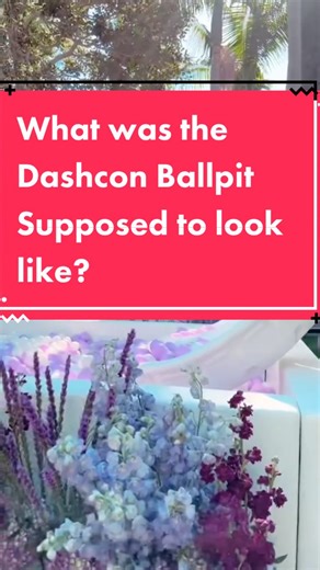 Exploring the Mystery of the Dashcon Ballpit