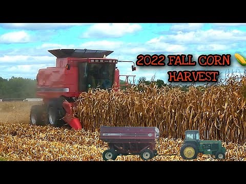 CORN 🌽 HARVEST FALL 2022 CASE IH 2188 AXIAL FLOW COMBINE
